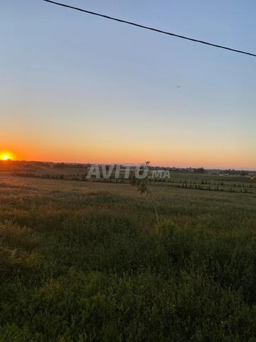 أرض للبيع في سيدي رحال أولا بلانكا - 2