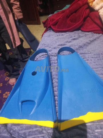 زعانف سباحة - 2