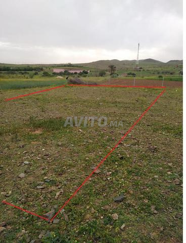 بقعة ملكية 520 متر - 2