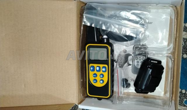 Collier électrique pour chien - 2