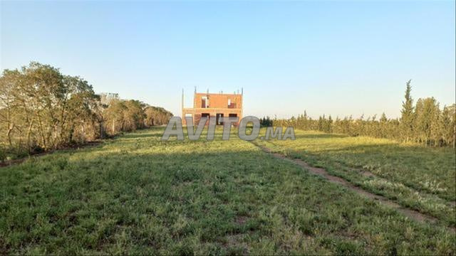 Ferme semi finie - 2