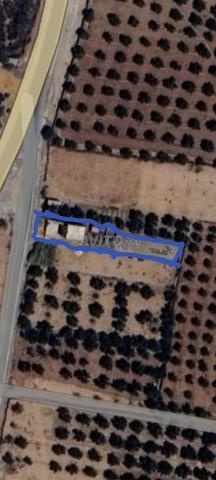 تتميز بوجودها على واجهتين وهي الطريقان - 2