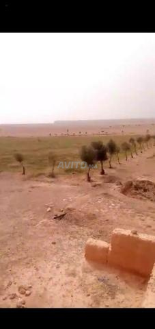 أرض فلاحية للبيع نواحي ميدلت - 2