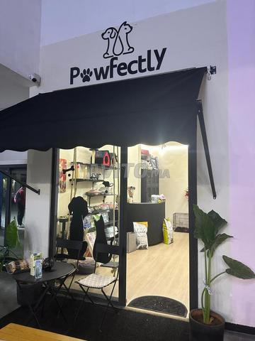 للبيع - أصول تجارية لمتجر حيوانات أليفة "Pawfectly" - 2