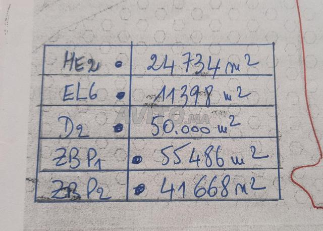 20 هكتار للبيع تازة المدينة - 2