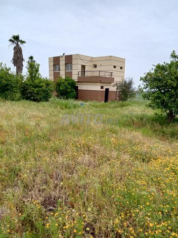 مزرعة 7000م موثقة كموني - 2