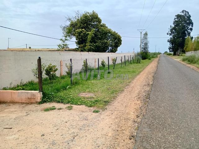 مزرعة للبيع 6 هكتار مرخصة - 2