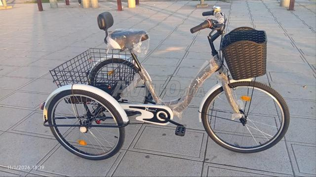 دراجة ثلاثية العجلات مع توصيل مجاني لجميع المدن