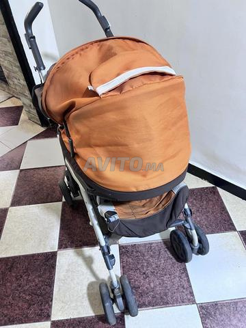 قطط ما زالت نظيفة - 2