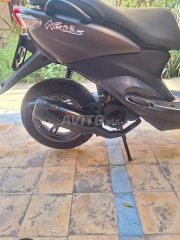 Neos 2015 Grop 15 - 2