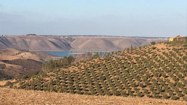 Beau TERRAIN à vendre OUM AZZA