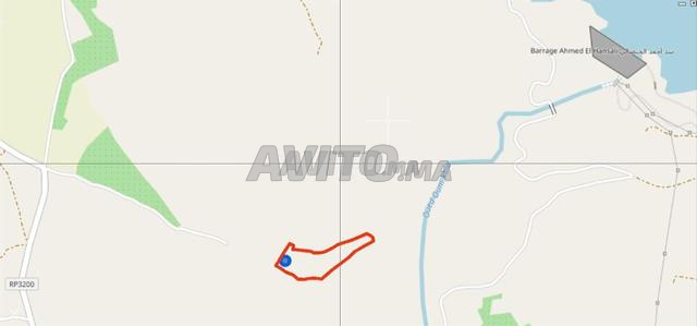 أرض فلاحية للبيع - 2