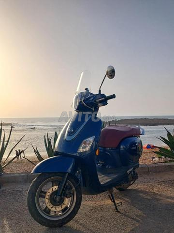 فيدل 3 50 سي سي - 2