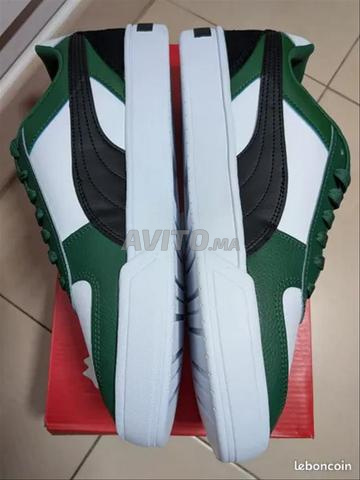 بوما أصلية - 2