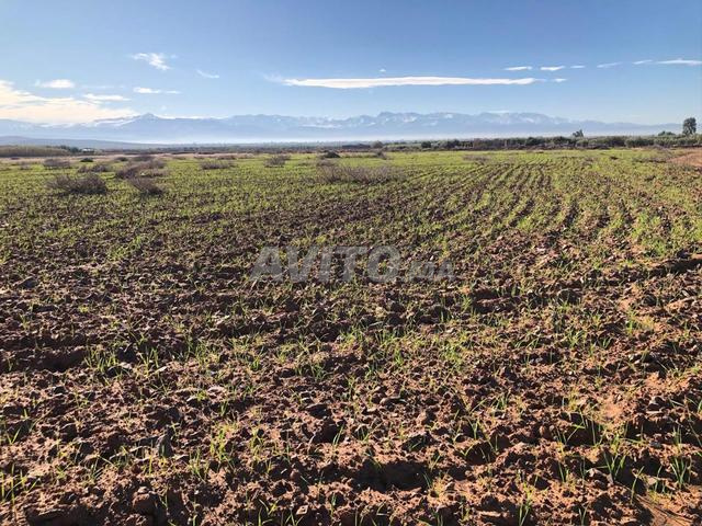 👉 Terrain de luxe 2.17 ha près de Marrakech