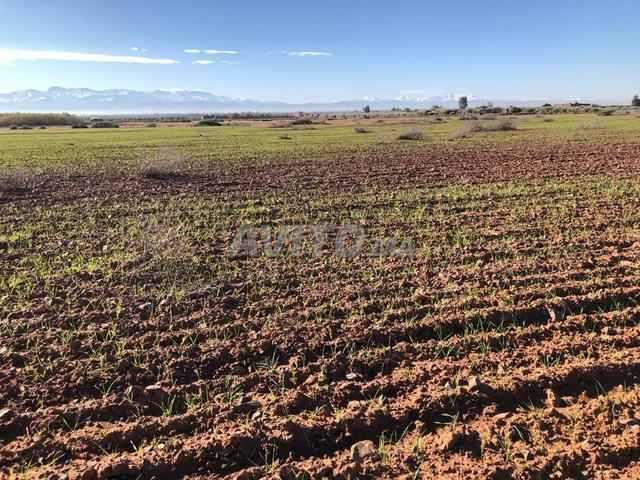 Terrain luxe 2.17 ha près Marrakech