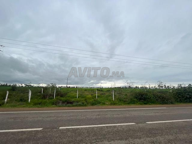 أرض - واجهة طريق وإمكانات تجارية - 2
