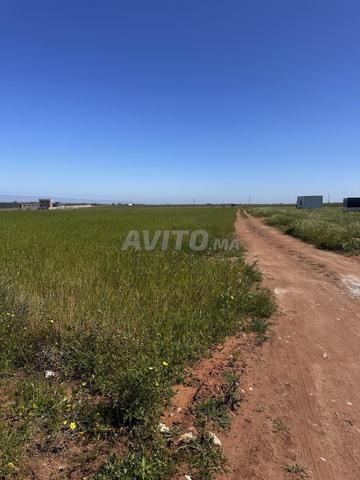 Terrain à vendre à Sidi Rahal Plage