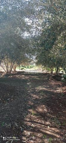 مزرعة زراعية ممتازة للبيع 56000م2 - 2