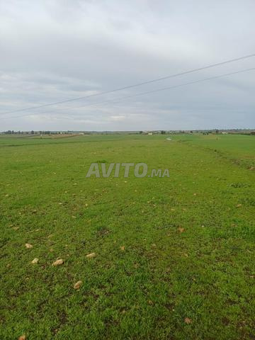 Super ferme agricole à vendre 56000m2