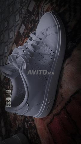Chaussure Adidas originale - 2
