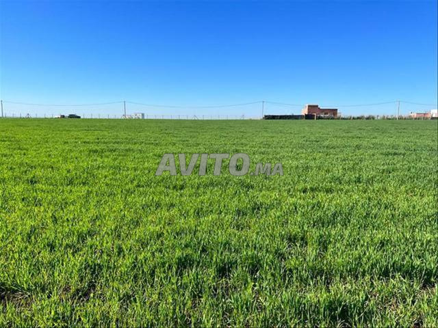 Vente de terrains et fermes — Sidi Rahal