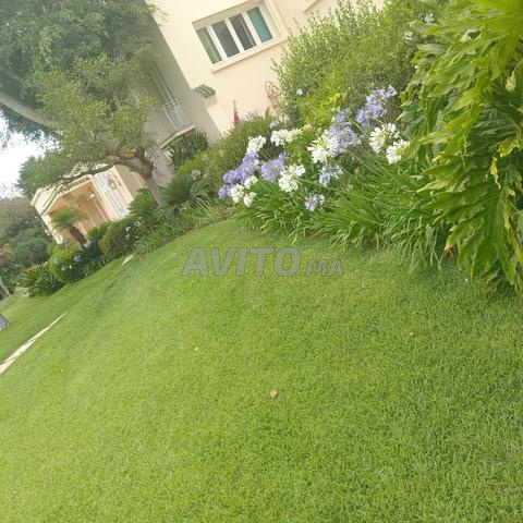 حديقة نبيل - 2