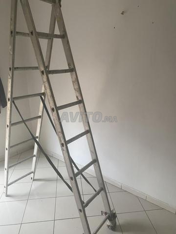 سلوم أصلي Echelle - 2