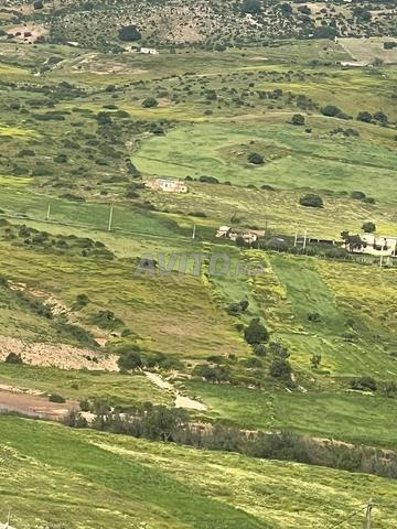 Terre agricole à vendre JAMAAT AlT SIBR, KHEMISSAT