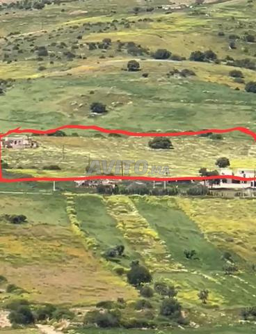 أرض فلاحية للبيع جماعة أل سبر، الخميسات - 2