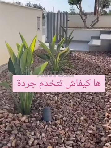 صيانة الحدائق - 2