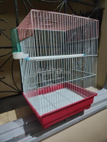cage à oiseaux - 2