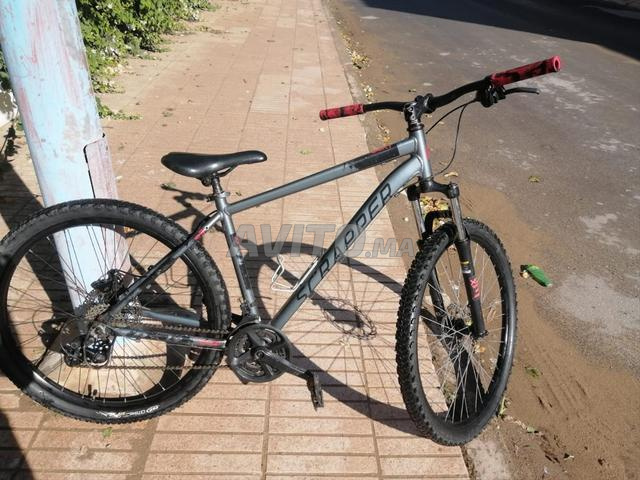 Vélo de promenade - 2