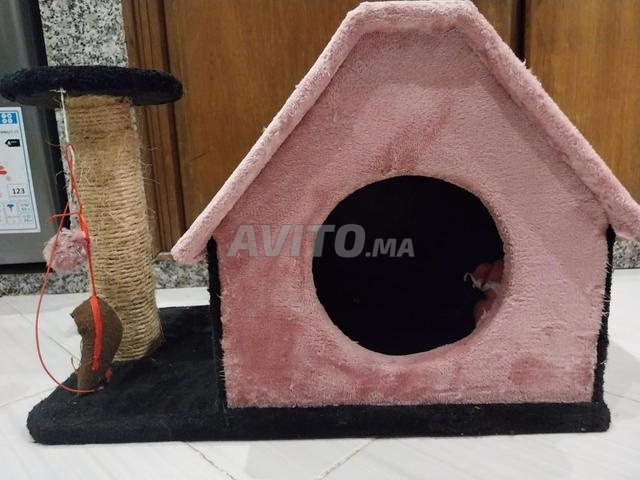 Maison pour chat - 2