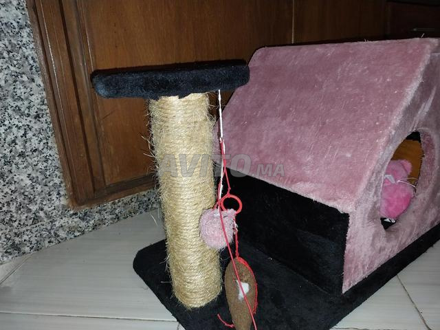 Maison pour chat - 2