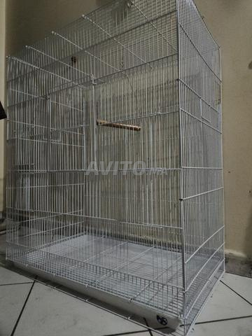 Grande cage - 2