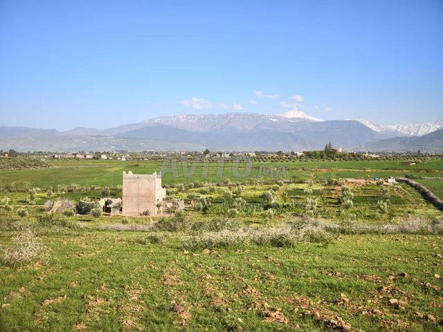 Terrain Route d'Ourika - 2