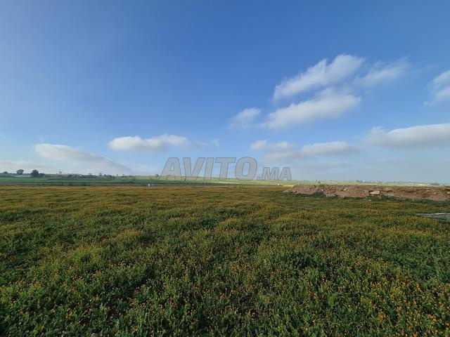 3 هكتارات و 7000 متر - 2