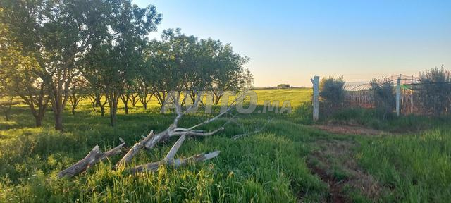 8 hectares top