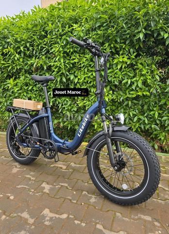 دراجة إلي كتريك - 2