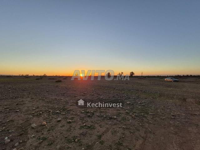 6 lots titrés 1ha Marrakech - Rte de Tahanaout