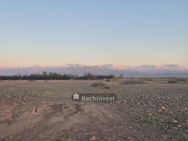 6 lots titrés 1ha Marrakech - Rte de Tahanaout