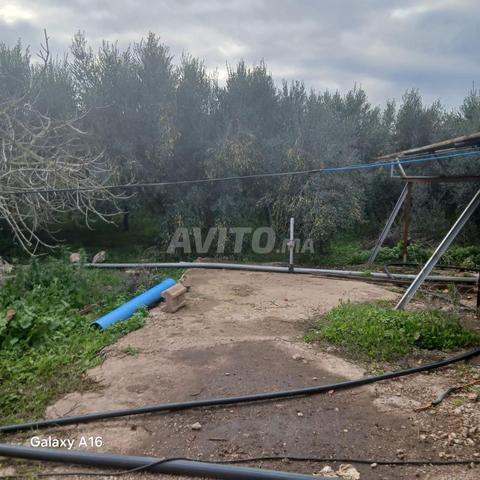 أولاد حجاج برشيد - 2