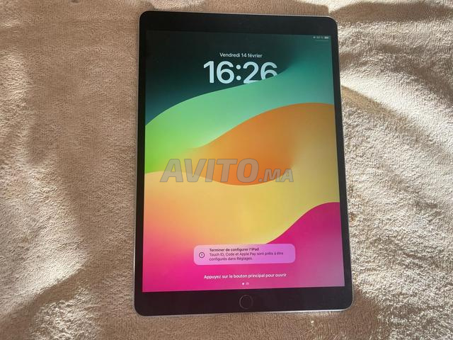 Ipad Pro 10.5 Wifi 256 GB Full bypass - 2