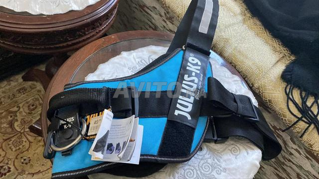 Harnais Chien Julius K9 - 2