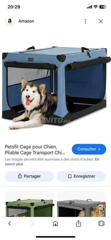 Niche Chien transportable
