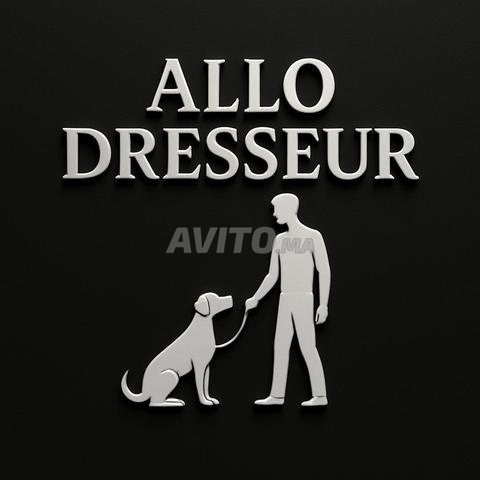 مدرب كلاب مكناس - 2