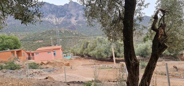 Terrain touristique à TAMOUDJOUTE