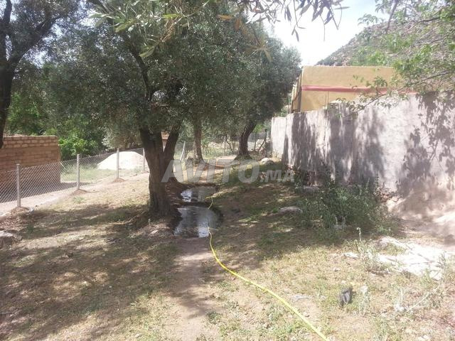 Terrain touristique à TAMOUDJOUTE - 2