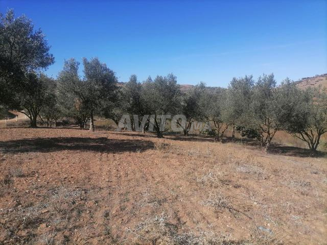 مكناس المدينة - 2